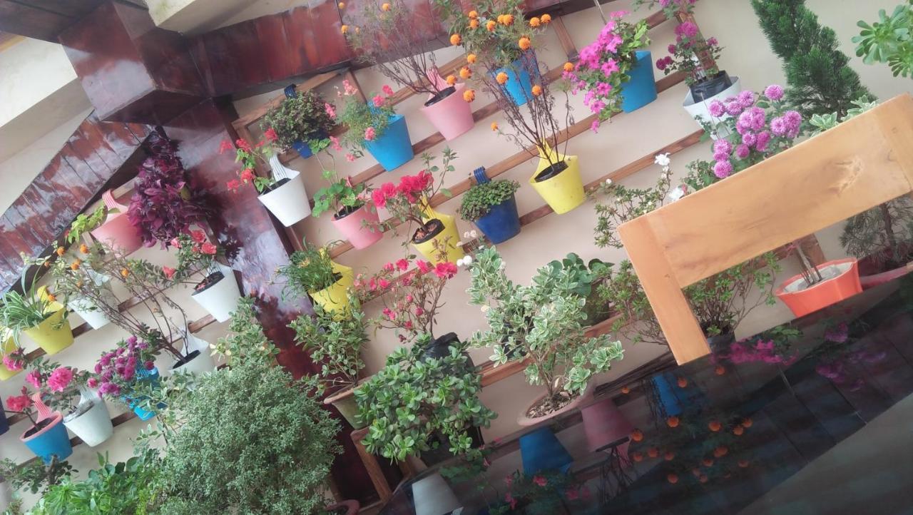 Shalom Inn Home Stay Dardzsiling Kültér fotó