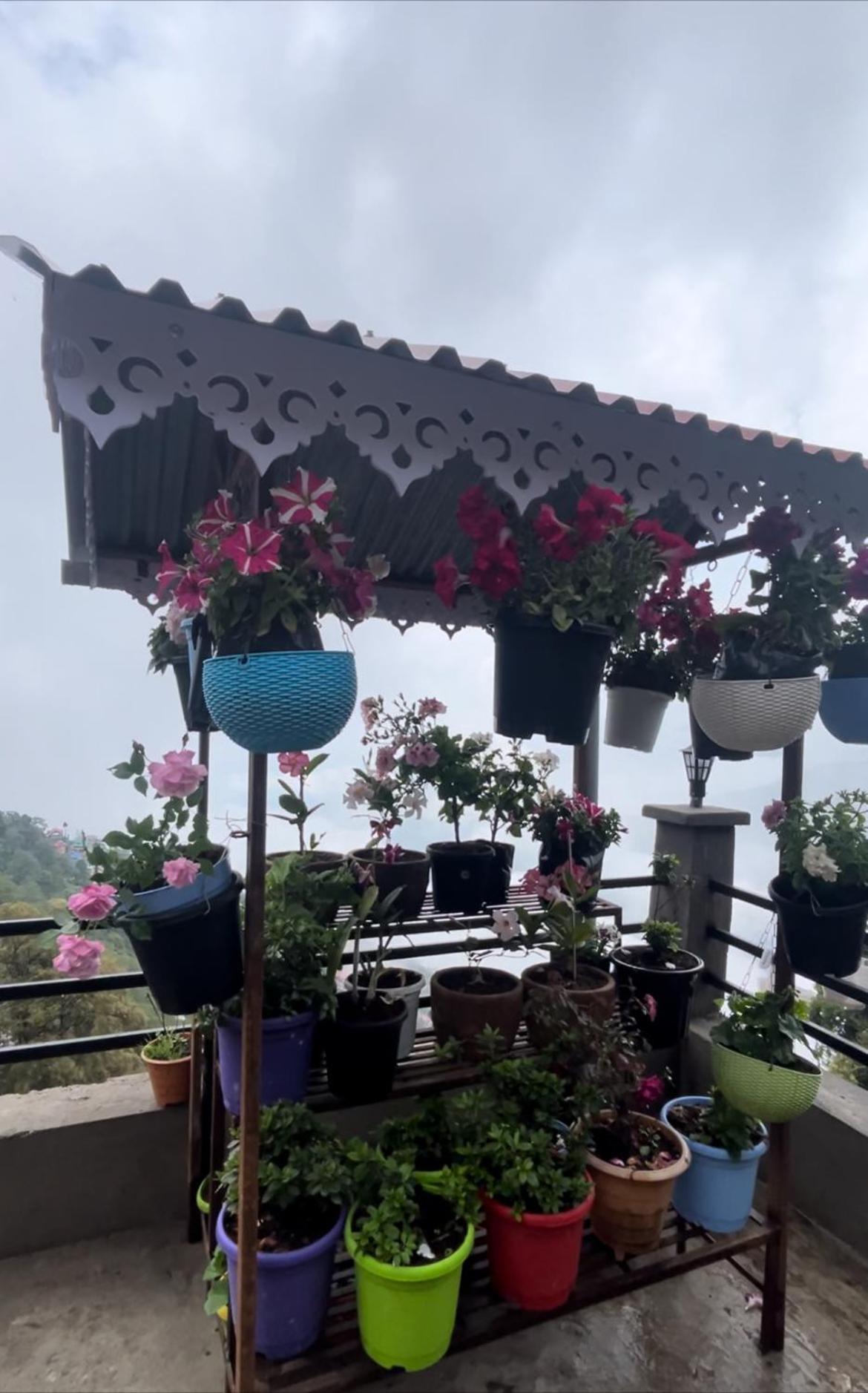 Shalom Inn Home Stay Dardzsiling Kültér fotó